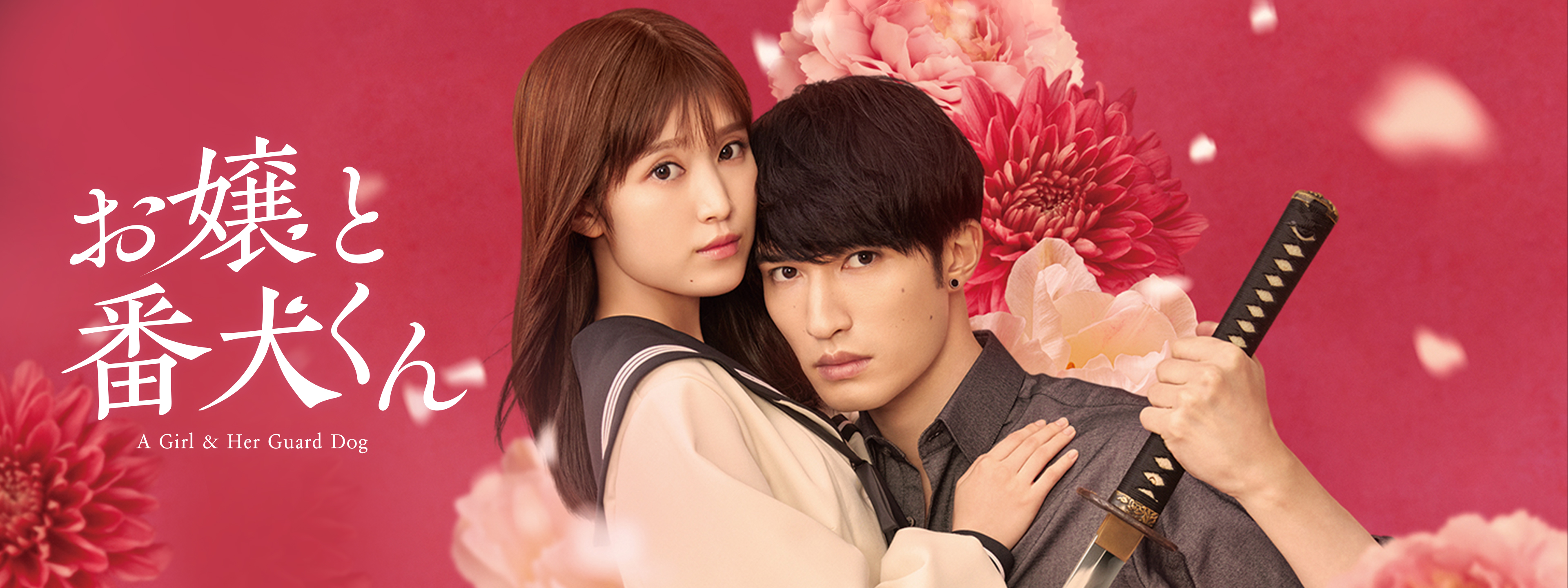 DVD お嬢と番犬くん　レンタル落ち DVD お嬢と番犬くん レンタル落ち Blu-ray & DVD | 映画『お嬢