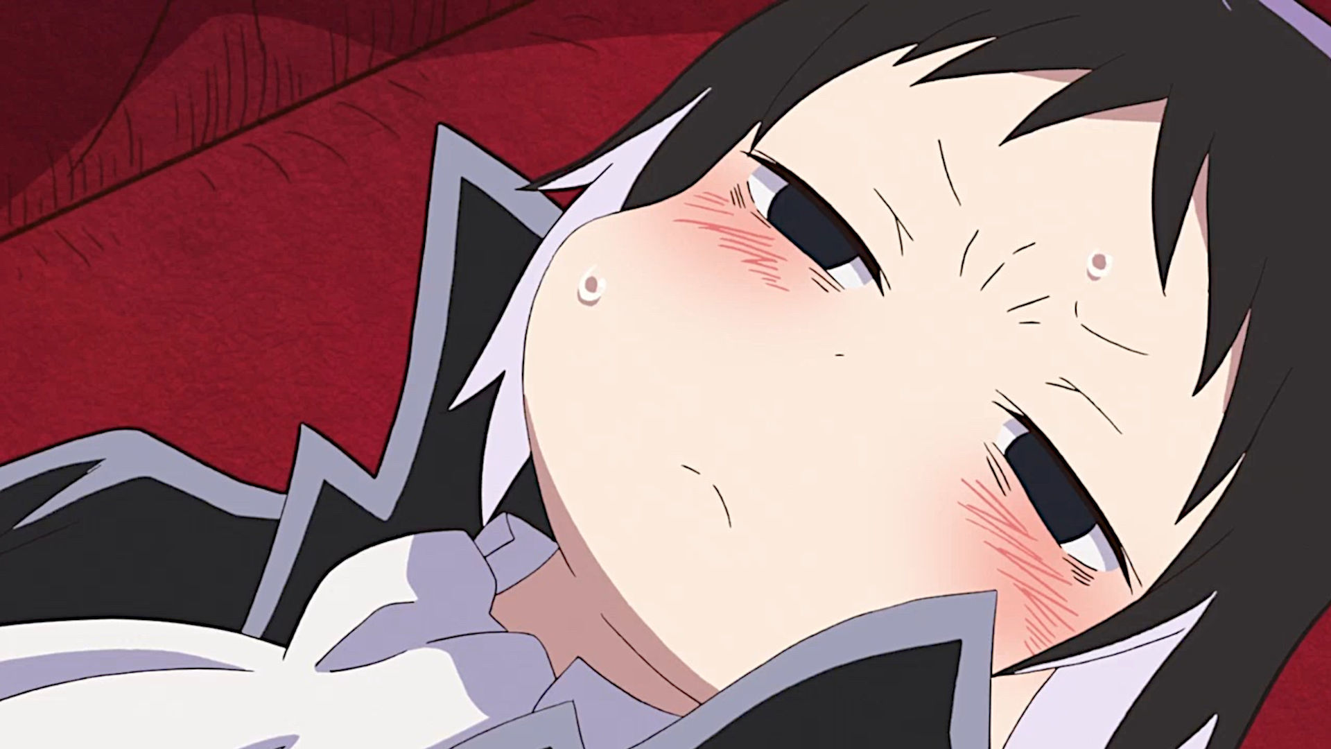 第8わん!