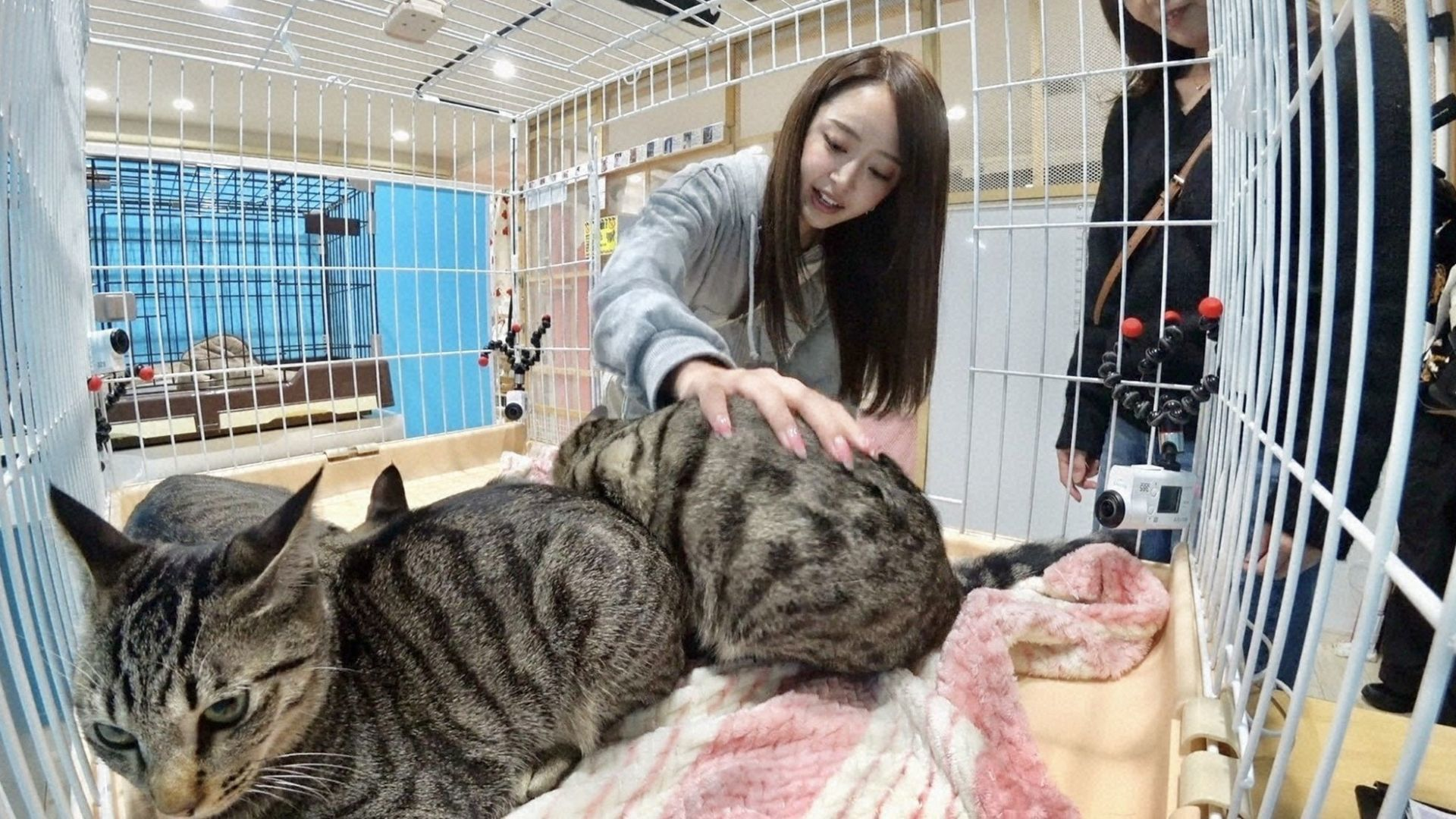 みりちゃむ預かり最終回! うみ一家2度目の譲渡会