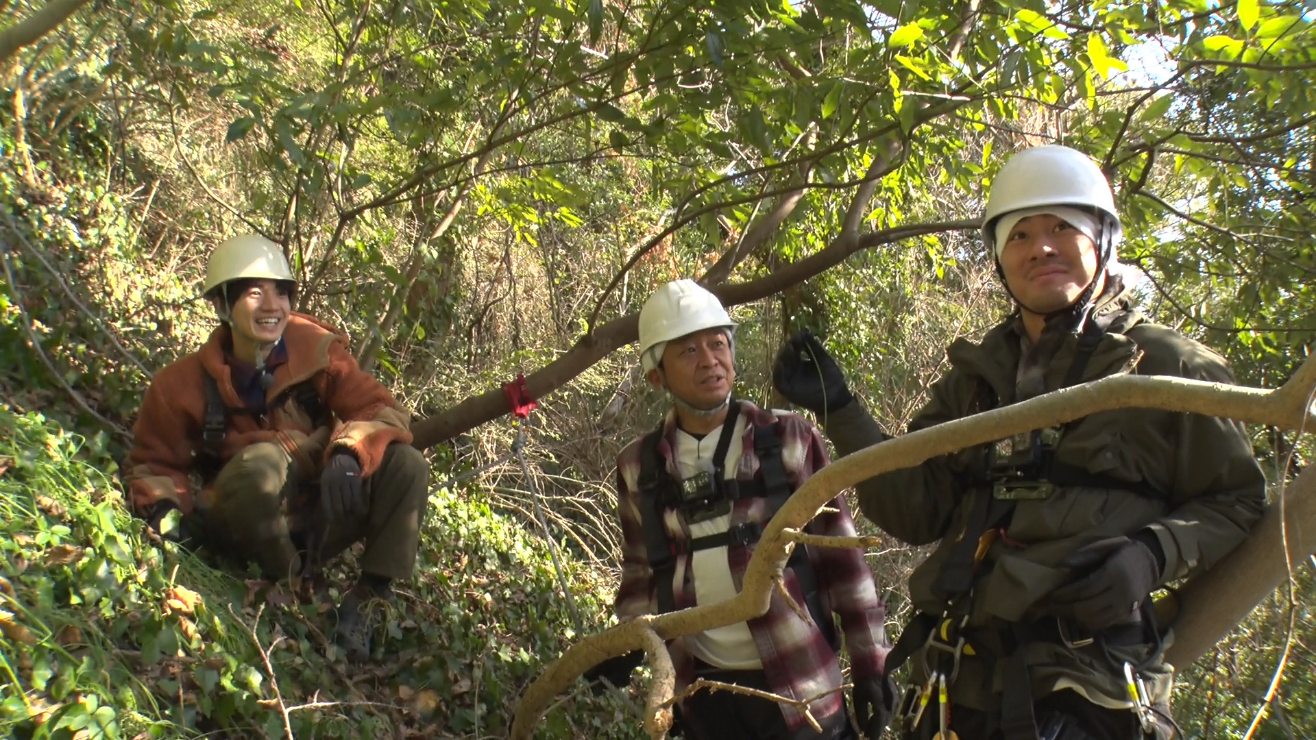 島の未開拓エリア大冒険SP! 歴史を変える新食材発見か!?