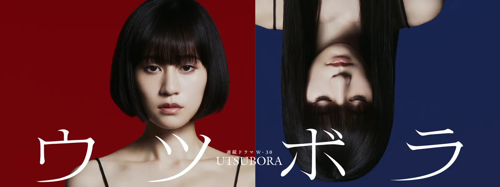 ウツボラ | Hulu(フールー)