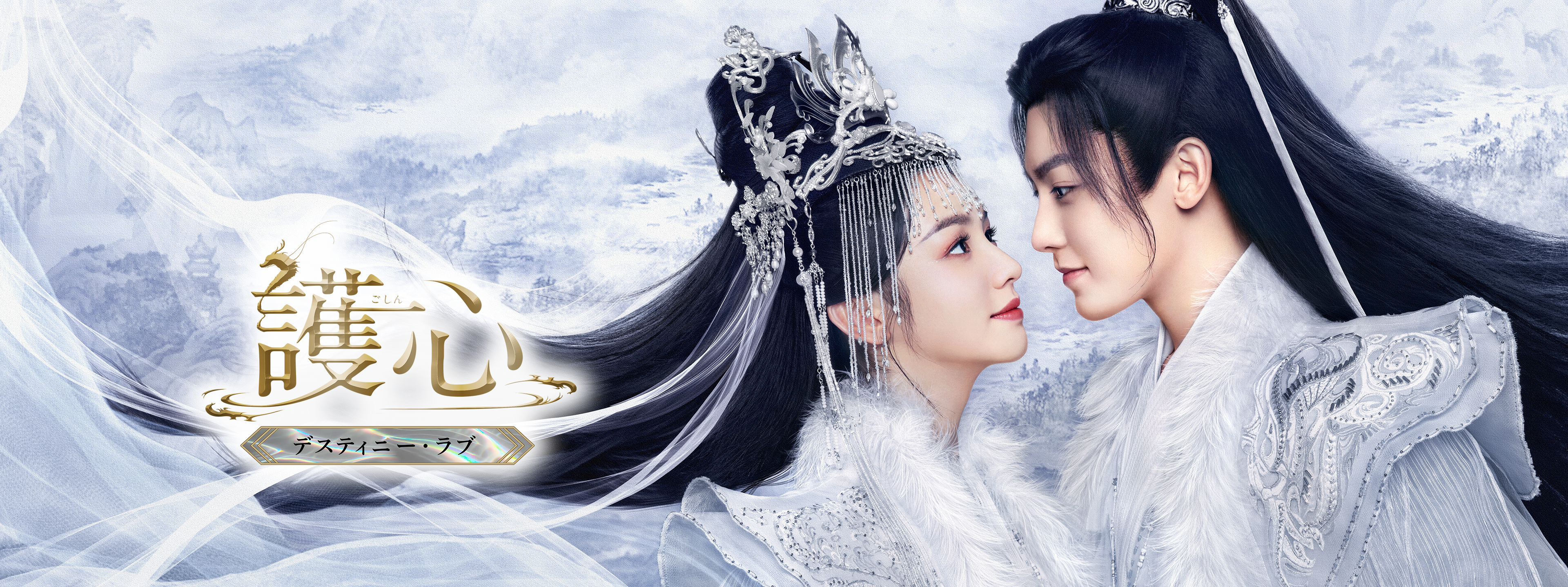 ▼DVD/海外TVドラマ/護心(ごしん)〜デスティニー・ラブ〜 DVD-SET1 : 中国ドラマ護心＜ごしん＞～デスティニー・ラブ～全