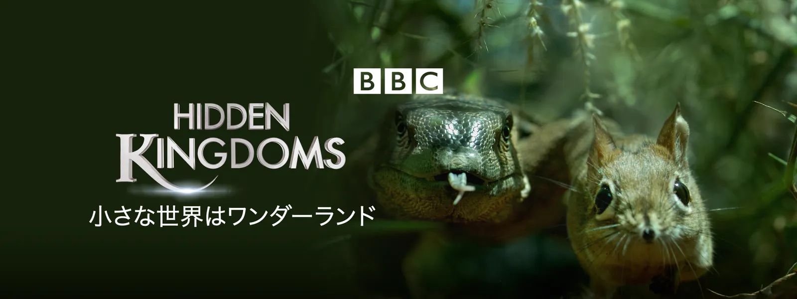 小さな世界はワンダーランド TVオリジナル完全版 - サムネイル