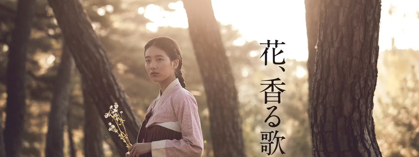 花 香る歌 が見放題 Hulu フールー お試し無料 花 香る歌 が見放題 Hulu フールー お試し無料