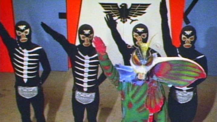 アマゾンの毒蝶ギリーラ