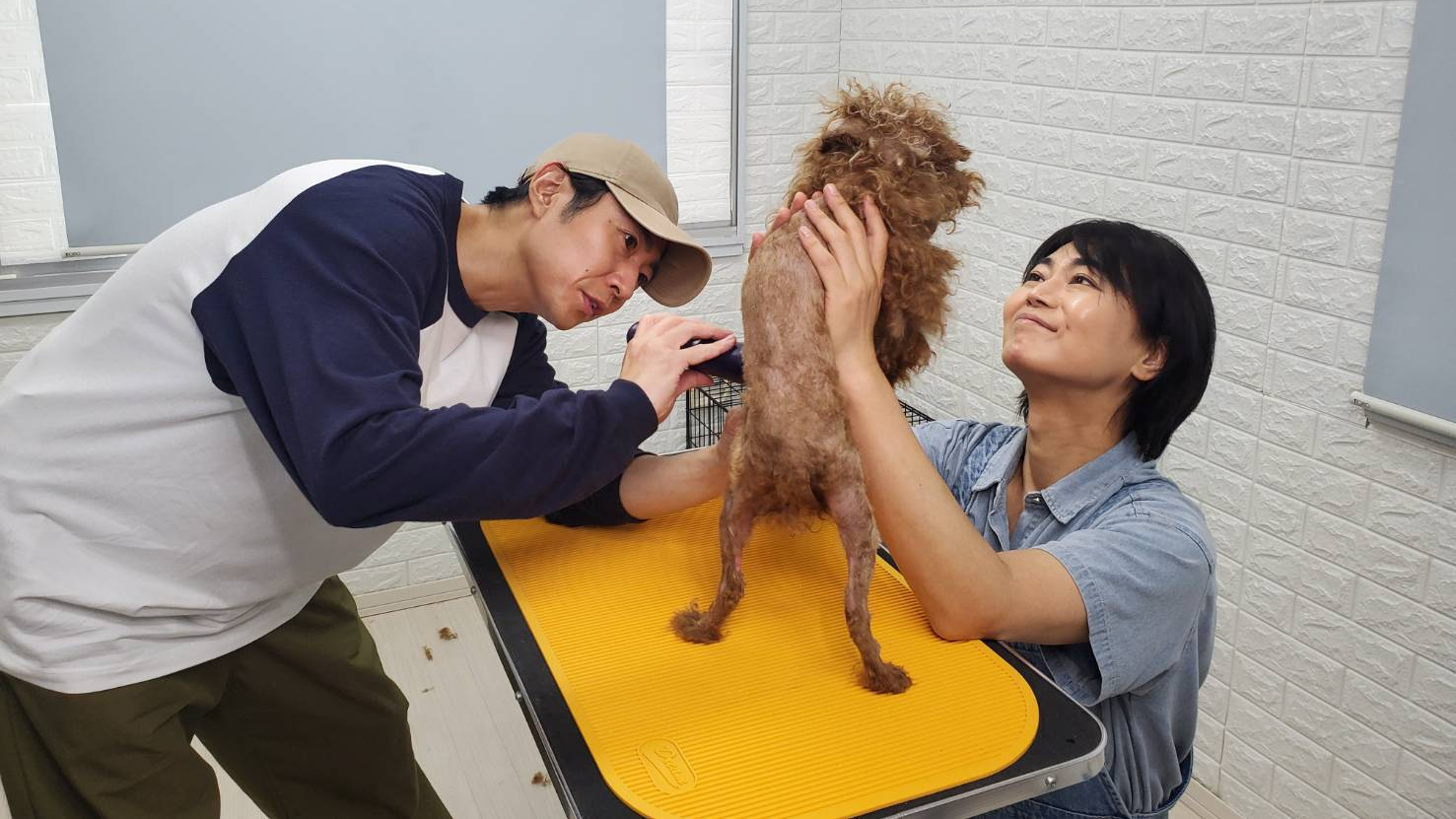 ▼相葉雅紀と氷川きよしがトリミング▼ダイアン津田スキンシップボランティア