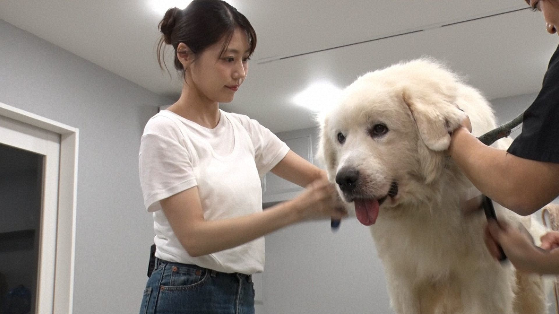 みりちゃむ流スゴい猫テク連発&相葉トリミング×有村架純