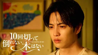 10回切って倒れない木はない
