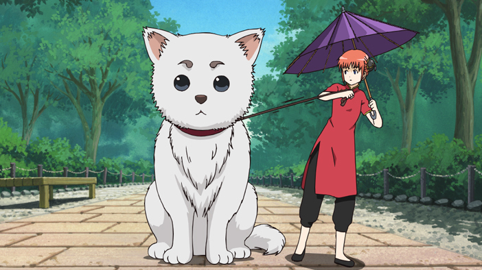 犬の肉球はこうばしい匂いがする/かもしれない運転でいけ