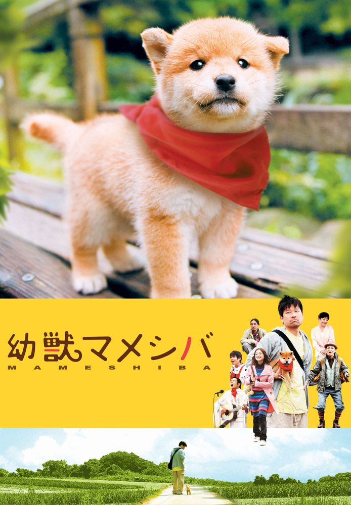 映画版 幼獣マメシバ