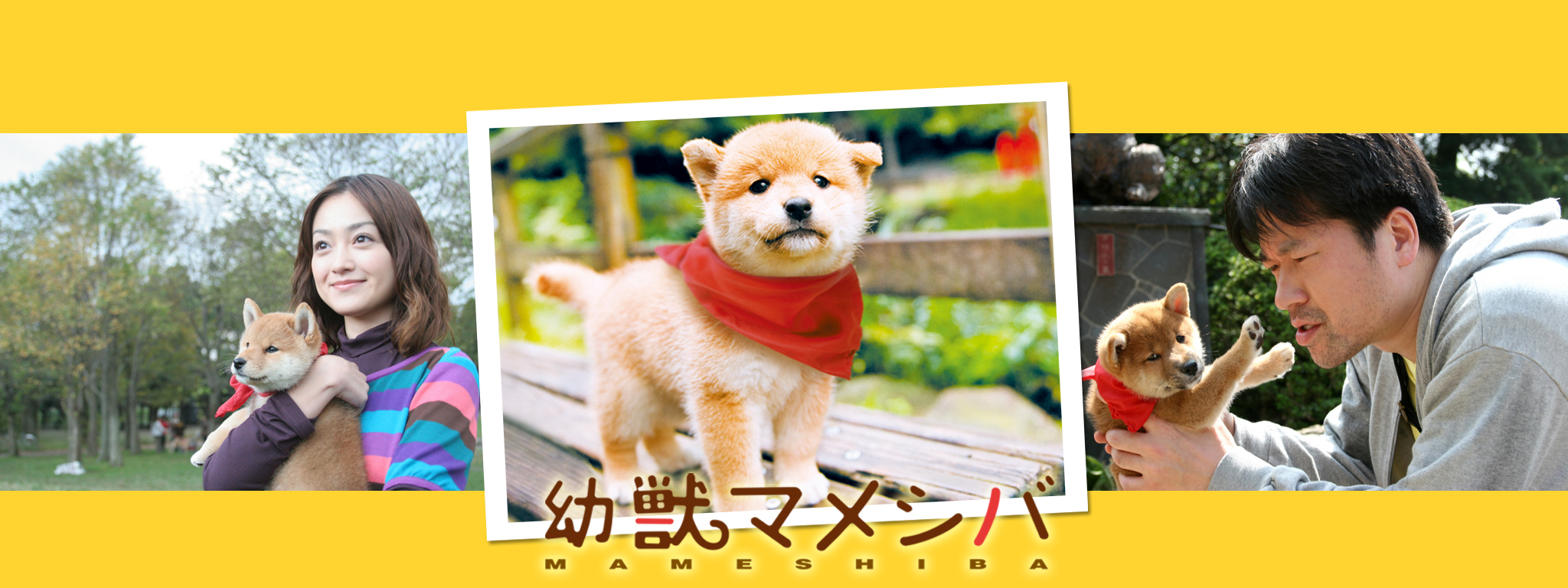 Amazon.co.jp: 幼獣マメシバ DVD-BOX : 佐藤二朗, 高橋洋, 藤田