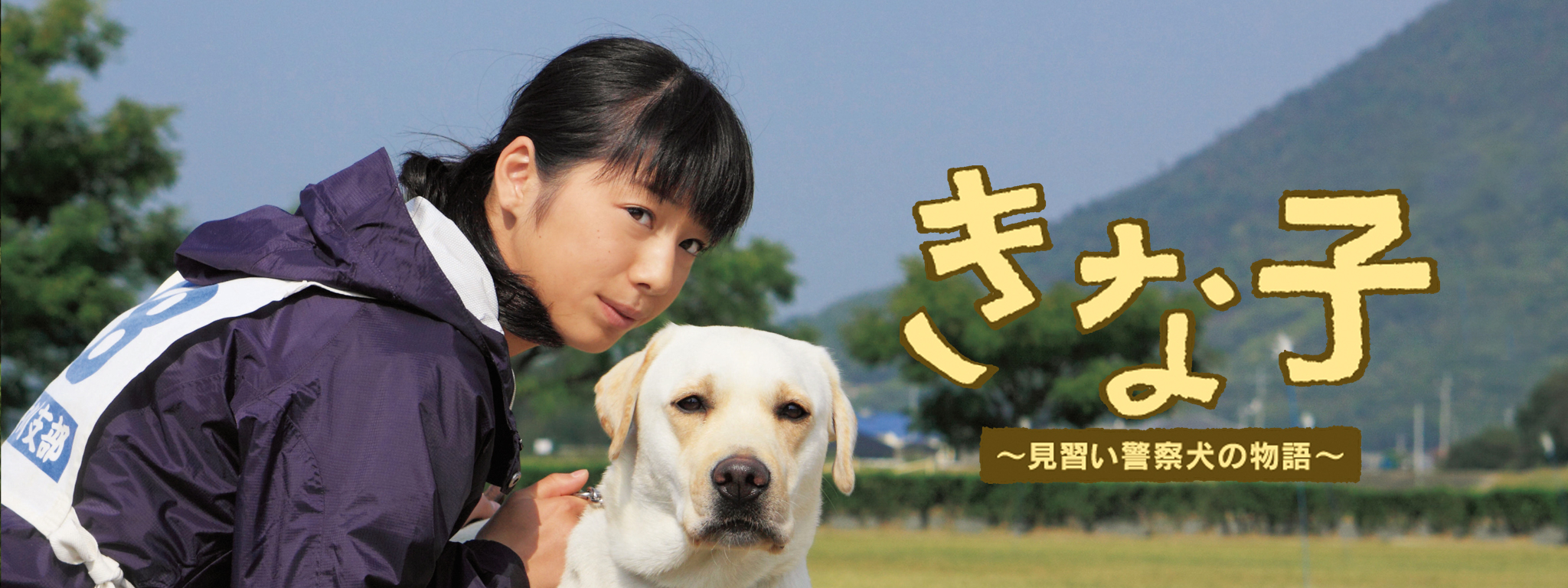 「きな子~見習い警察犬の物語~」DVD発売記念　犬だワンダフルキャンペーン　クイール（限定生産） Amazon.com: 「きな子~見習い警察犬の物語~」DVD発売記念 犬だ