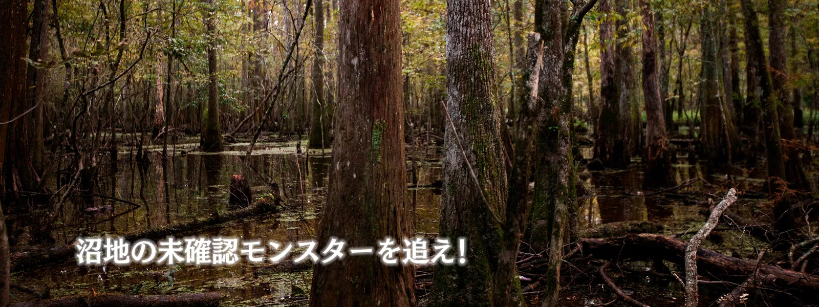 沼地の未確認モンスターを追え! - サムネイル