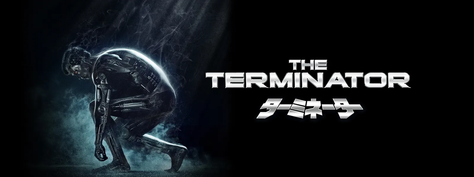 ターミネーター The Terminator - サムネイル
