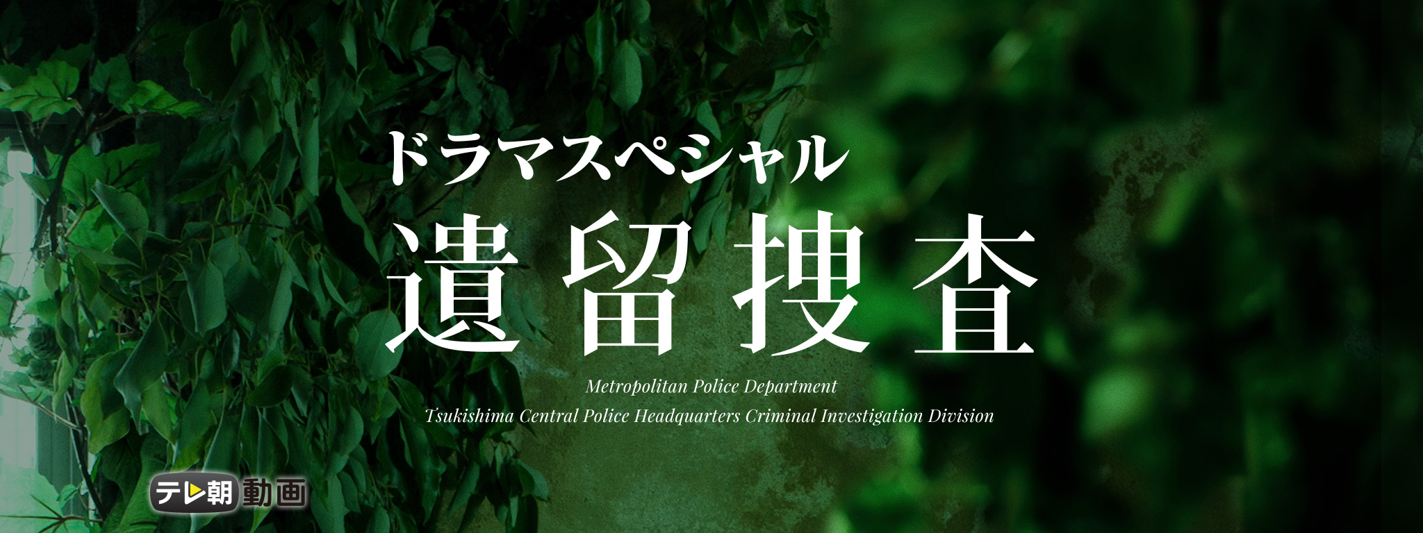 遺留捜査　遺留捜査2 遺留捜査ドラマスペシャル　DVD　全12巻 Amazon.co.jp: 遺留捜査2 DVD-BOX : 上川隆也, 斉藤由貴, 八嶋智