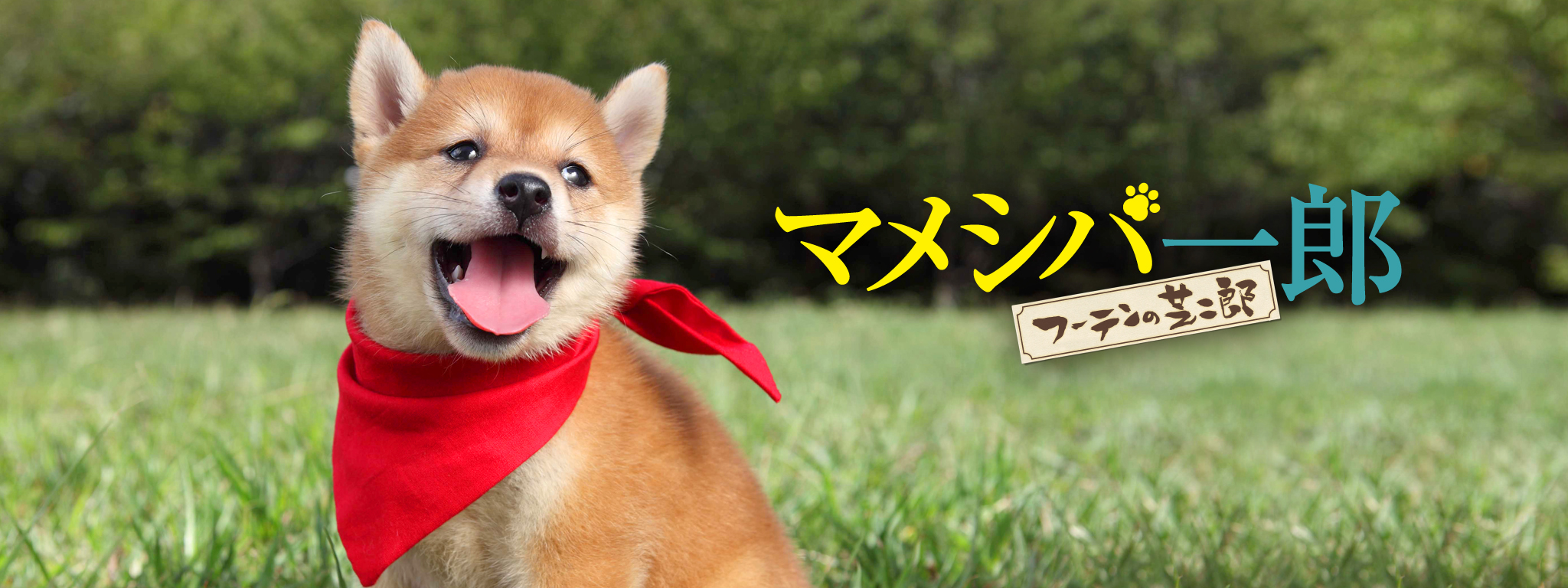 映画版 マメシバ一郎 フーテンの芝二郎 | Hulu(フールー)