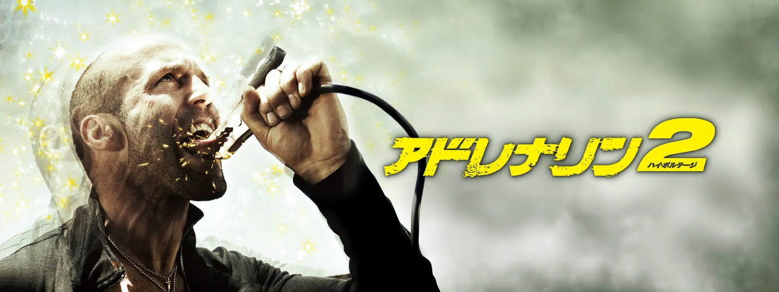 アドレナリン2 ハイ･ボルテージ Hulu(フールー)
