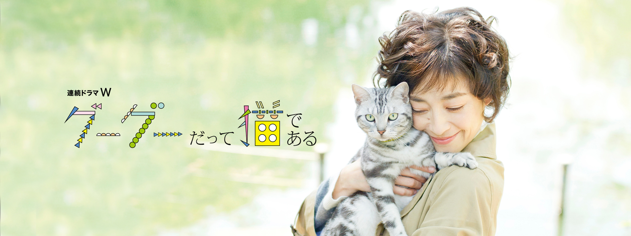 グーグーだって猫である | Hulu(フールー)