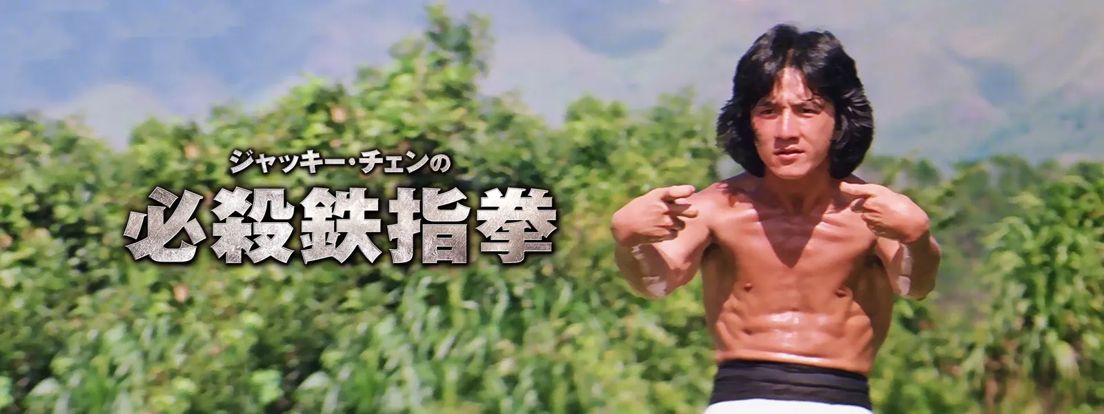 ジャッキ－･チェンの必殺鉄指拳 - サムネイル
