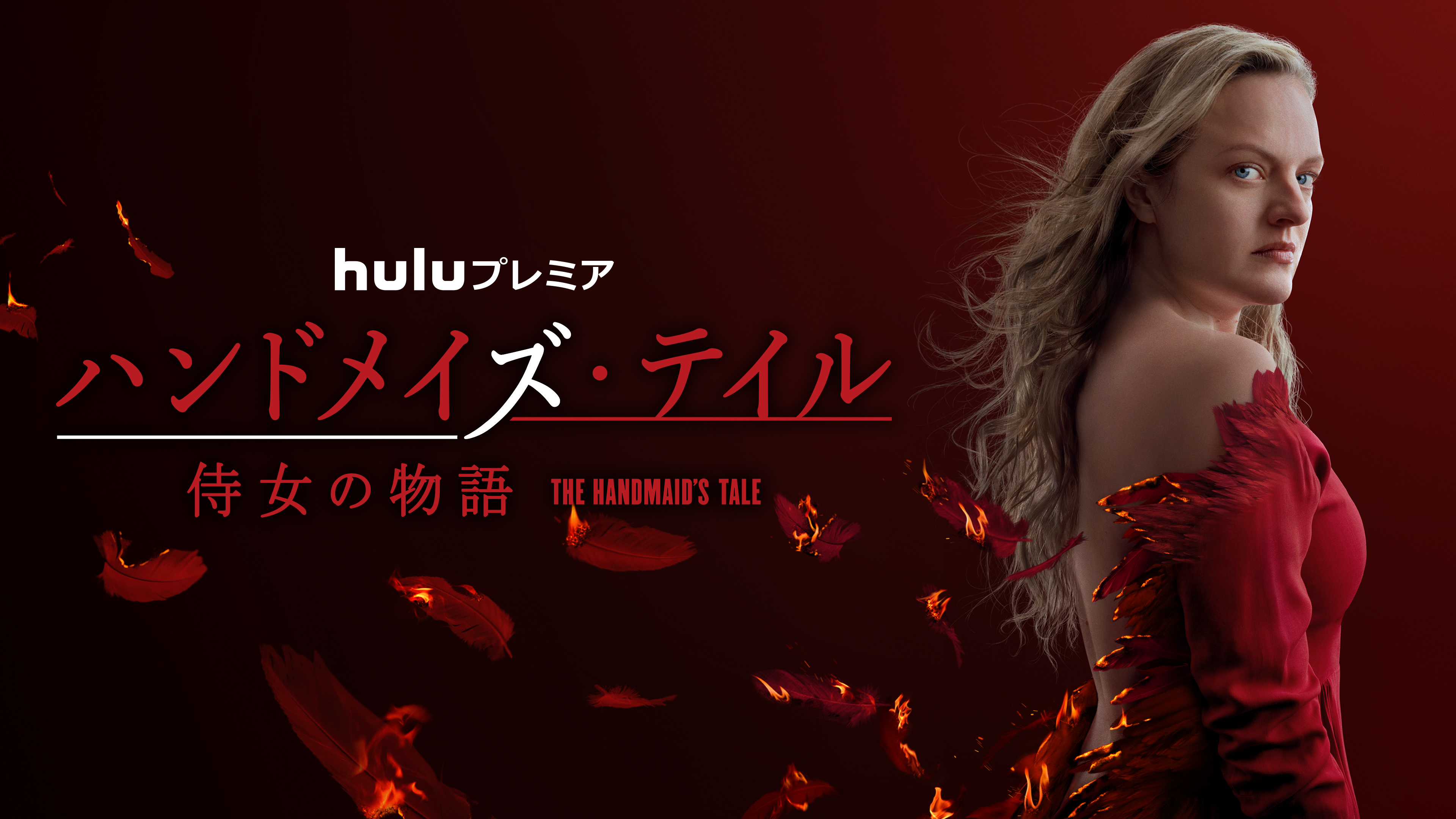 ディストピア世界と戦う者たち Hulu フールー お試し無料